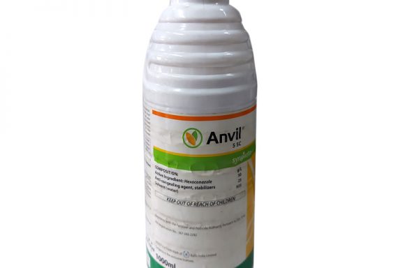 Anvil 5SC