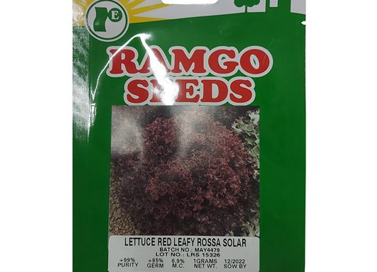 Lettuce Red Leafy Rossa Solar 1g