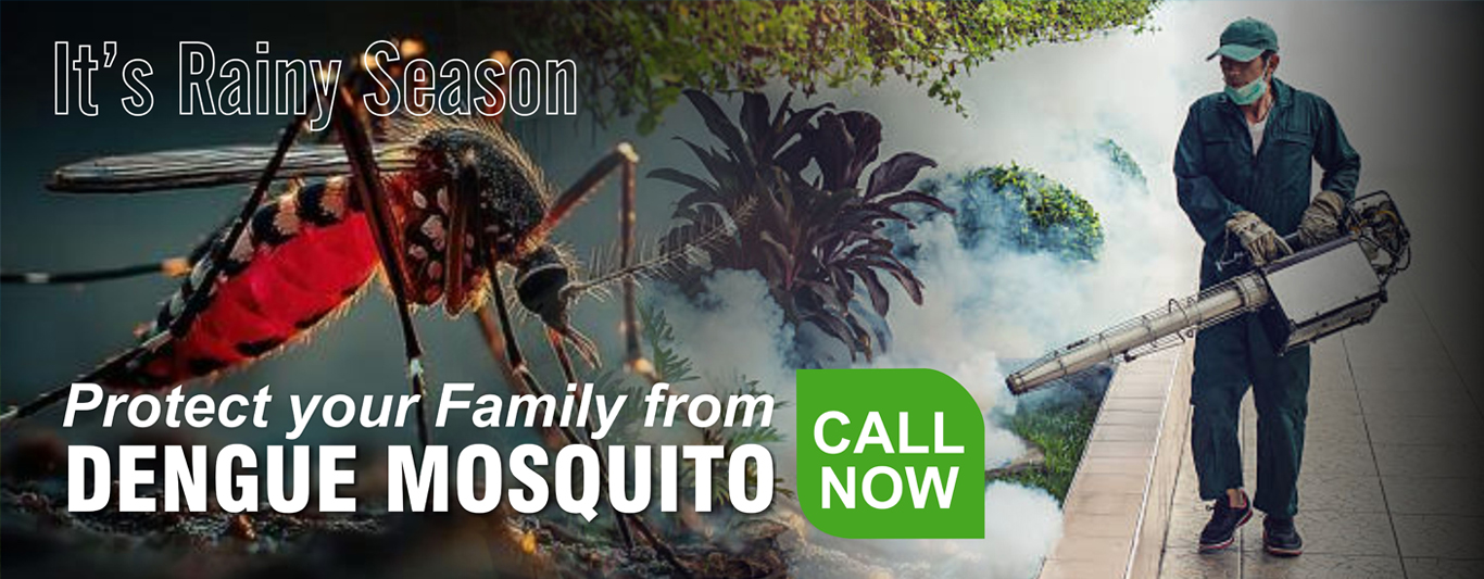 Rtainy Dengue Mosquito Pest Control Services