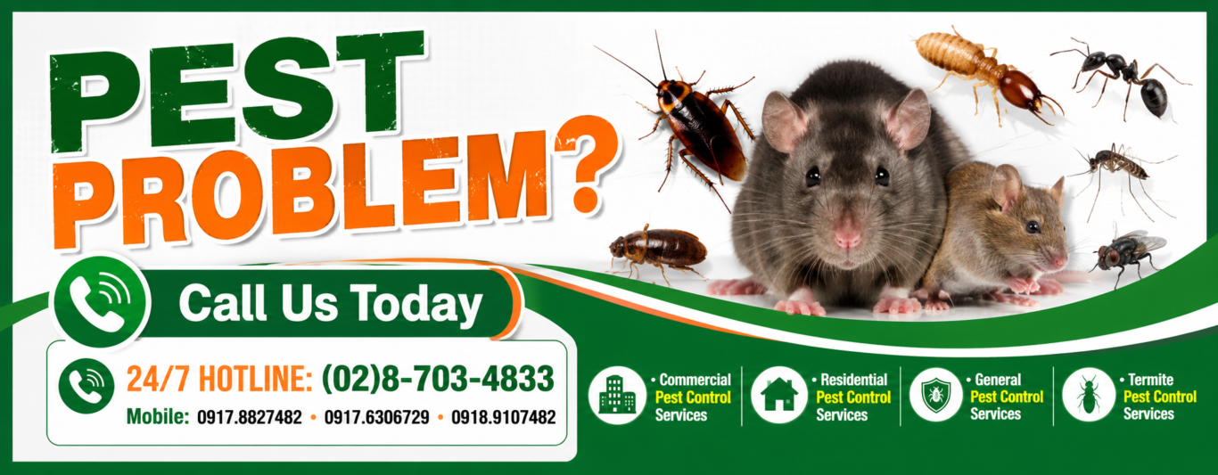 PEST PROBLEM CALL NOW