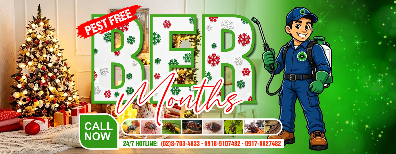 PEST FREE BER MONTH SEASON CATS EYE KING INTERNATIONAL 3